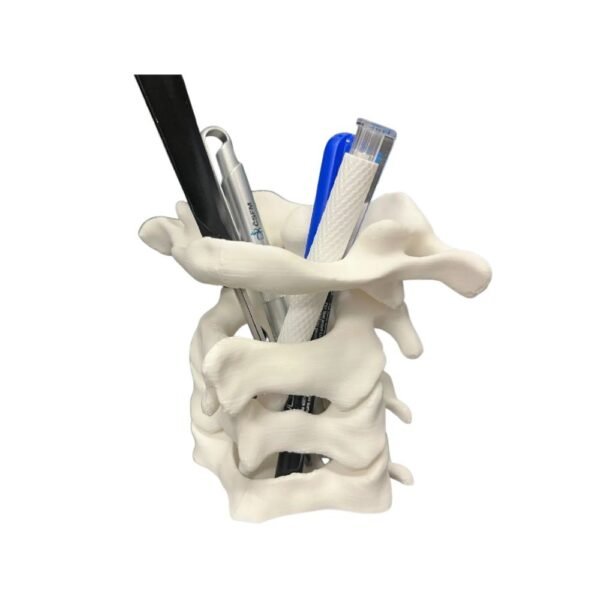 Porte-Stylo Anatomique : Vertèbres Cervicales (Organisateur de Bureau)